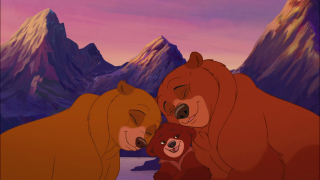 brother-bear 0 siyahı